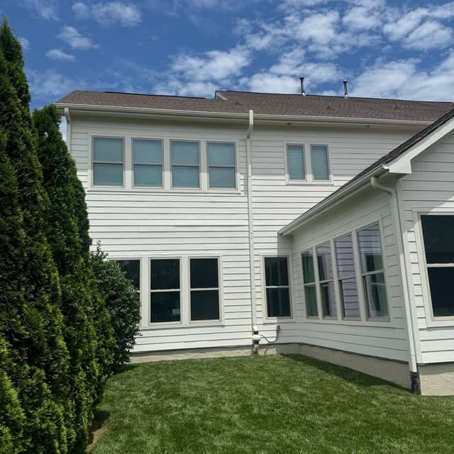 Side elevation of a white home with tall shuttered windows beside a mature evergreen hedge